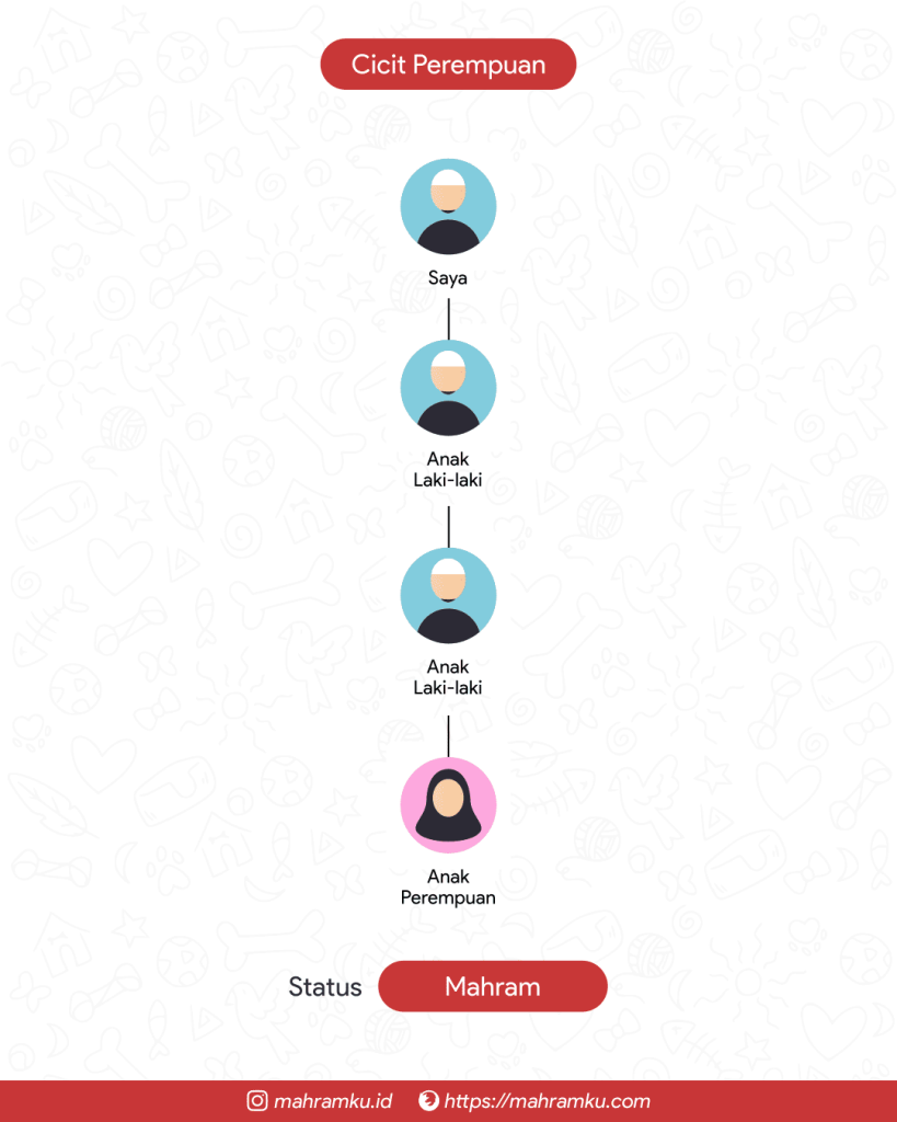 Bagan kekerabatan Cicit Perempuan (Lk – Anak Lk – Cucu Lk – Cicit Pr)