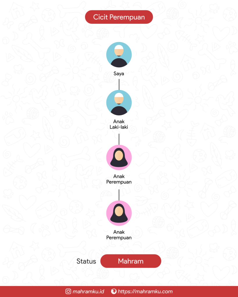 Bagan kekerabatan Cicit Perempuan (Lk – Anak Lk – Cucu Pr – Cicit Pr)