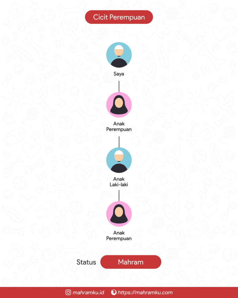 Bagan kekerabatan Cicit Perempuan (Lk – Anak Pr – Cucu Lk – Cicit Pr)