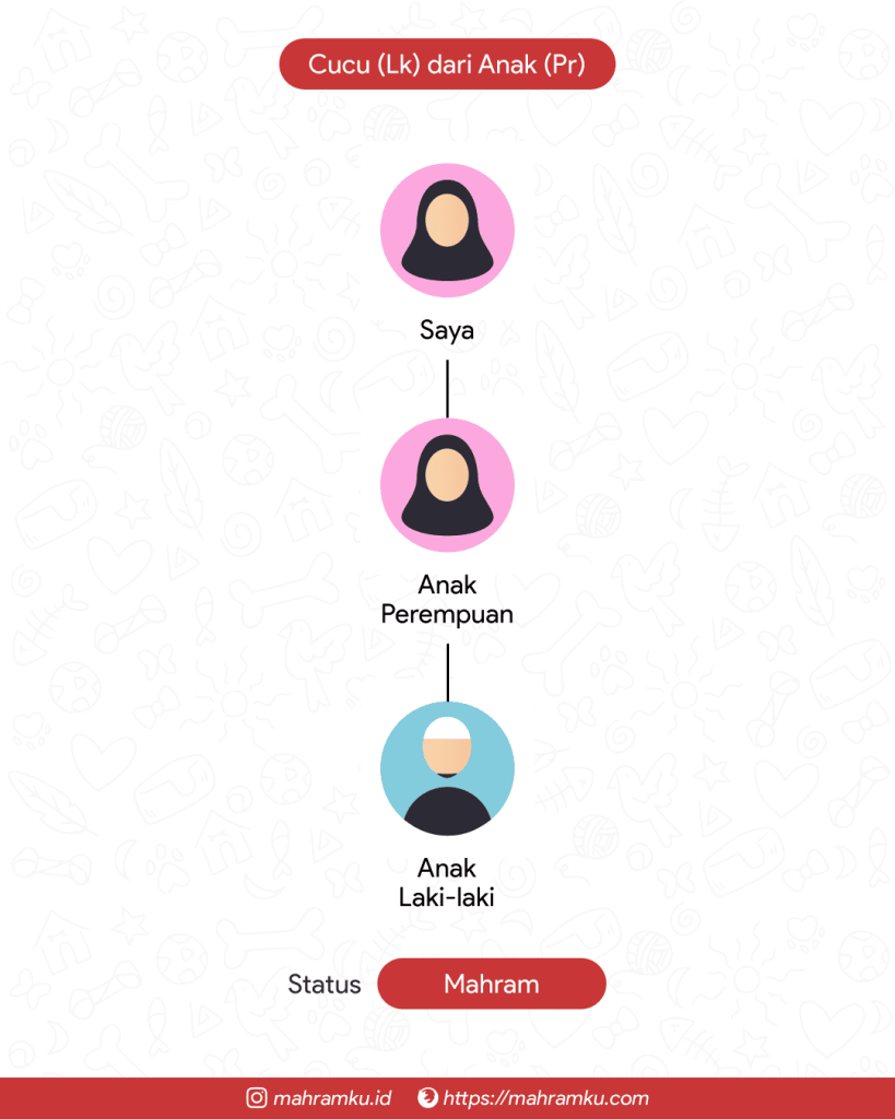 Bagan kekerabatan Cucu (Lk) dari Anak (Pr)